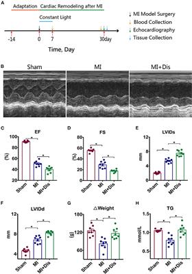 Sympathetic Nervous System Mediates Cardiac Remodeling After Myocardial Infarction in a Circadian Disruption Model